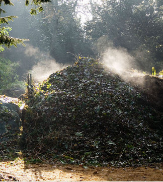 http://cdn.onlinecommercegroup.com/medium/compost_pile.jpg