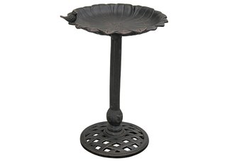 Copper Rust Reflection Birdbath