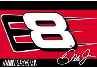 Dale Jr. Rug