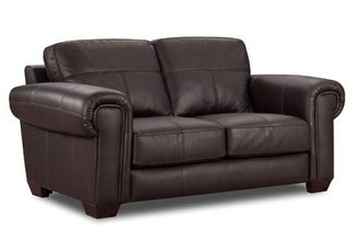 leather furniture