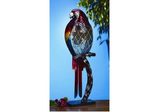 Figurine Fan - Parrot - Color
