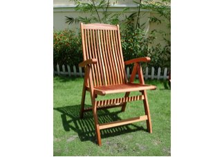 Vista Five Position Reclining Chair