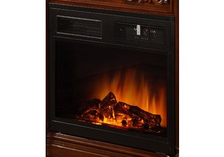 Fire Place Insert