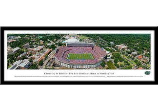 Unviersity of Florida Gators Stadium Print