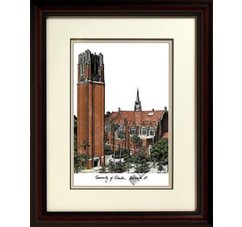 University of Florida: The Tower Alumnus