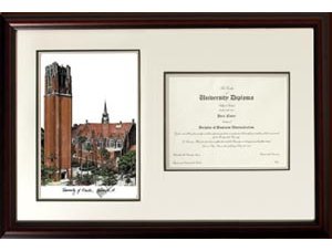 University of Florida: The Tower Scholar