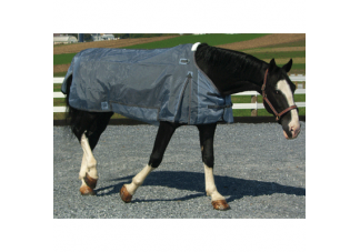 Equestrian Equipment