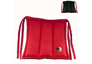 Florida State University Seminoles Chair Cushion