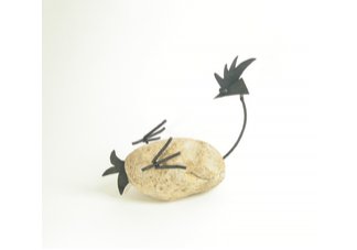 Laying chicken Stone Gardn