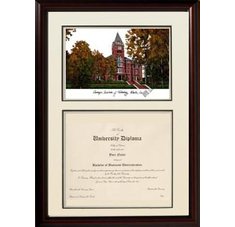Georgia Institute of Technology Scholar