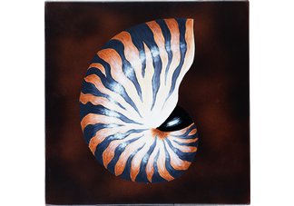 Nautilus Wall Art