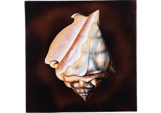 Conch Wall Art