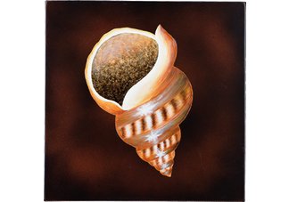 Tibia Wall Art