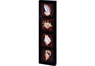 Framed Seashell Wall Art