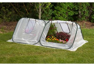 Greenhouse