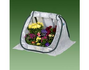 Greenhouse