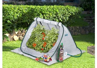 Greenhouse