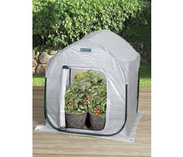 Greenhouse