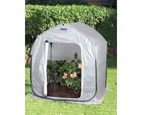 Greenhouse