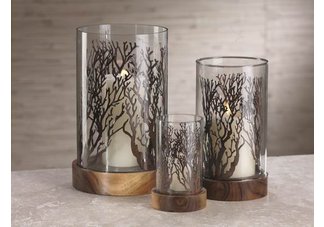 Coral Candle Hurricanes