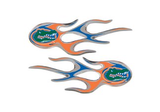 Florida Micro Flame Graphics (set of 2)
