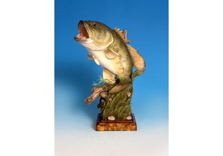 Trophy Bass