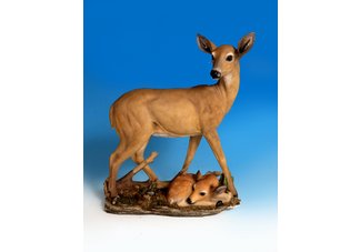 Standing Doe w/Fawn