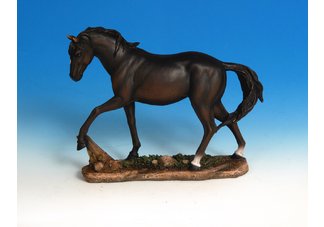 Prancing Black Horse