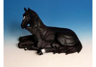 Black Horse Laying With Foal