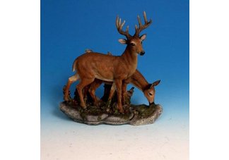 Deer Duo on Rock