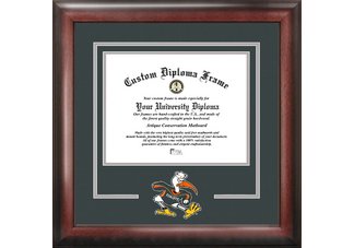 Miami Hurricanes Spirit Diploma Frame