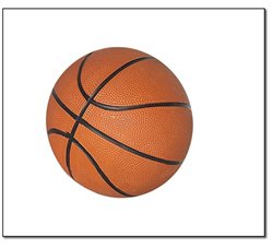 5" Mini Basketball