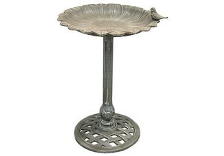 Old Bronze Reflection Birdbath
