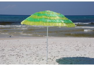 Palm Tree Raffia Umbrella