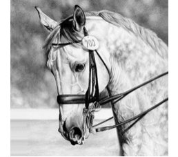 napkins, horses, hand napkins