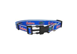 Small  Collar- 5/8 inch University of Florida