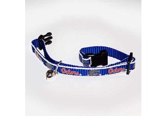 Cat Safety Collar 3/8 inch University of Florida