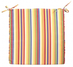 Sunbrella Seat Cushion