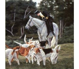 horse napkins, napkins, hand napkins, horses