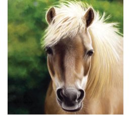 napkins, horses, hand napkins