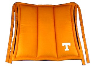 University of Tennessee Chair Cushion