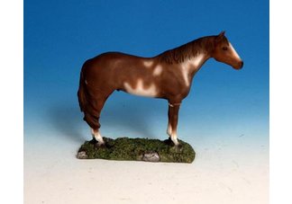 Painted Horse
