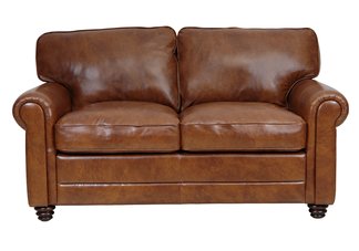 The Andrew Leather Loveseat