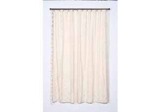 Bella Damask shower curtain