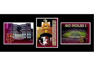 Florida State Triple Shot Wall Hanging