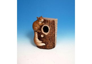 Squirrel Birdhouse