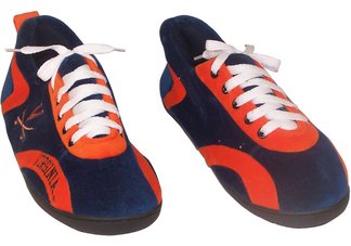 Virginia Cavaliers All Around 2X