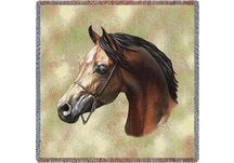Arabian Horse Lap Square