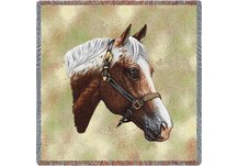Appaloosa Lap Square