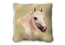 Arabian Pillow